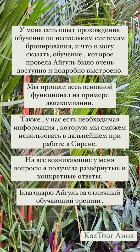 WhatsApp Image 2024-09-04 at 18.15